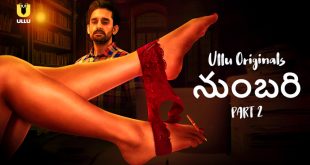 Numbari P02 (2024) Telugu Hot Web Series